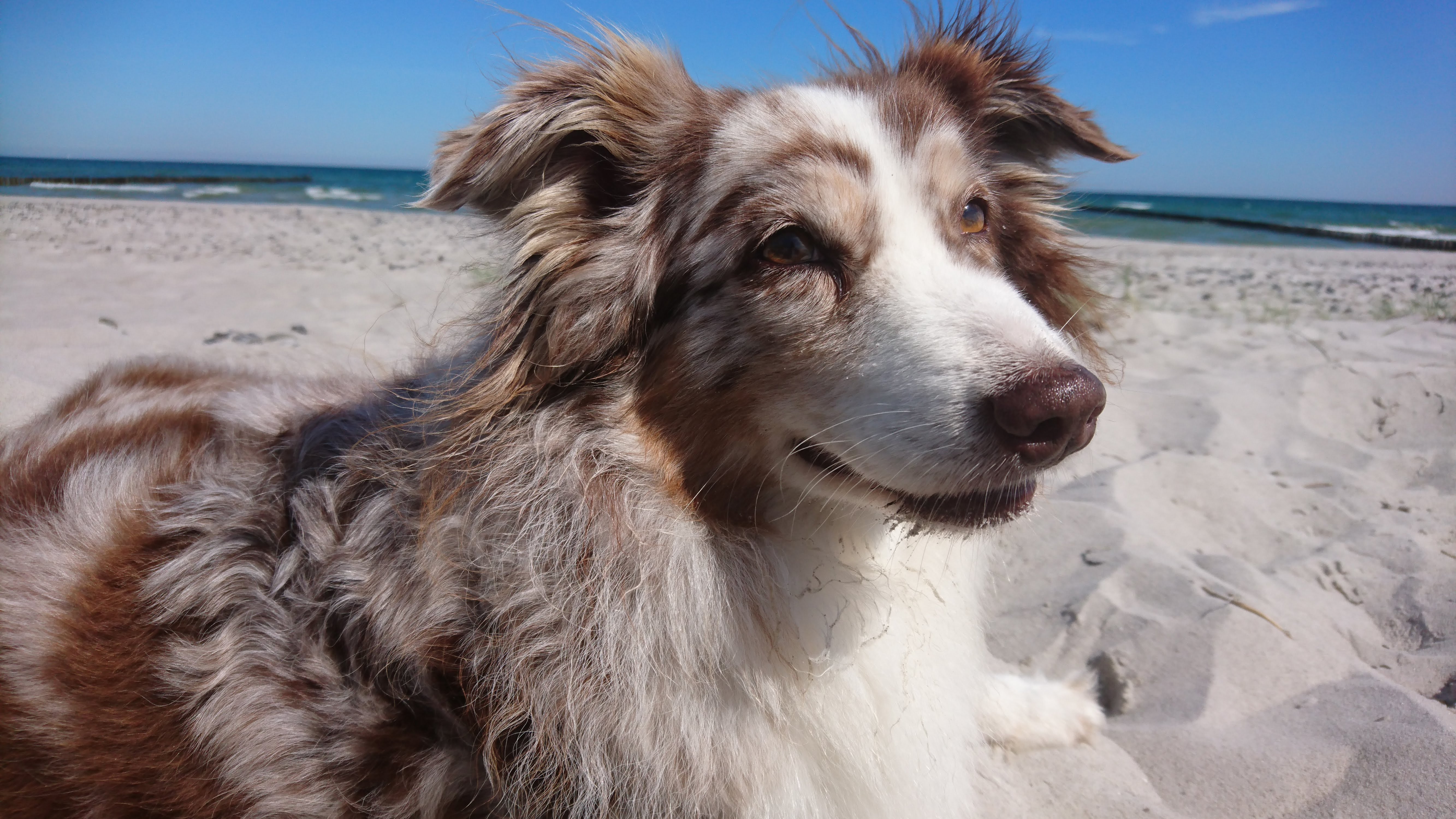Amy glücklich am Strand